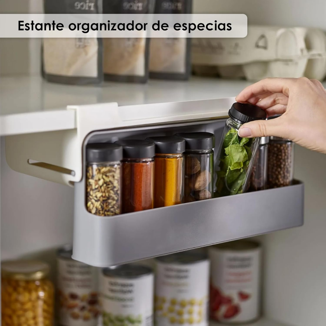 Organizador Plegable de Especies x6 Condimenteros Plástico